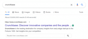 Site search bar rich result example